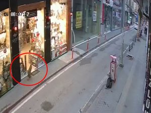 Samsun Şehir Merkezinde ’Tilki’ Paniği