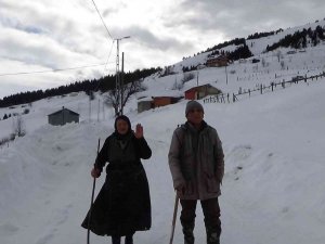 Korona Virüs Nedeniyle Yayladan Hiç İnmediler