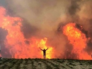Hayırsever Gurbetçiler, Küle Dönen Ormanlarını Unutmadı