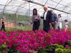 Muğla’da Üretilen Çiçekler 25 İlin Sokaklarını Süslüyor