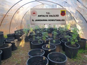 Antalya’da Jandarmadan Uyuşturucu Serasına Baskın