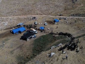 Konyaaltı, Hayvancılıktaki Uygulamalarıyla Türkiye’ye Örnek Oldu