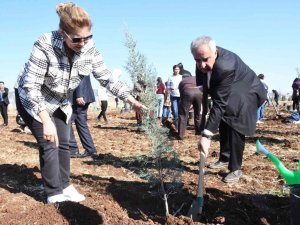 Kampüs Alanına 3 Yılda Yaklaşık 10 Bin Fidan Dikildi