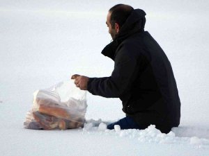 Yaban Hayvanları İçin Beline Kadar Kara Batarak Doğaya Ekmek Bıraktı