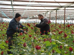 İ̇zmir Menderes’te Yoğun 14 Şubat Mesaisi