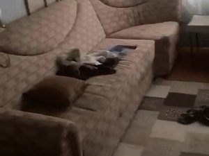 Hırsızlar Güpegündüz Kapısını Ve Pencere Korkuluklarını Çaldıkları Evi Talan Etti