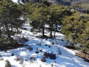 13 Gündür Aranan Gençten Acı Haber