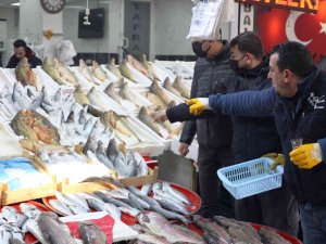 Sıcaklıkların Artmasıyla Hamsinin Fiyatında Düşüş Bekleniyor