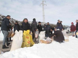 Konya’da Ağır Kış Şartlarında Doğadaki Hayvanlar Unutulmadı