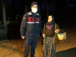 Ormanda Ot Toplarken Kayboldu, Torununun Sayesinde Bulundu