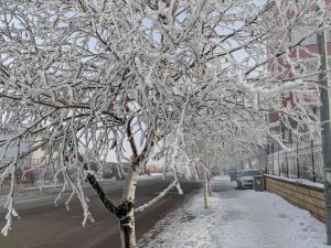 Ardahan Eksi 20 Derece