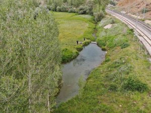 Cumhurbaşkanı İmzayı Attı, Doktor Balıklar Köyüne Kavuşuyor