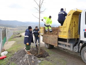 Yol Kenarları Yeşile Bürünecek