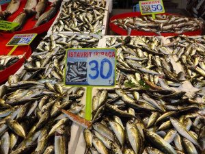 Hamsi Bu Defa Üzdü