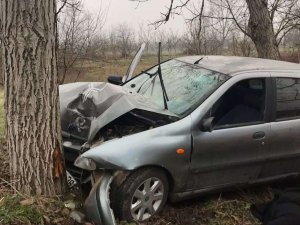Yoldan Çıkan Otomobil Ağaca Çarptı, 1 Yaralı