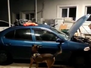 İ̇stanbul’dan Getirdikleri Uyuşturucuları Satamadan Yakalandılar