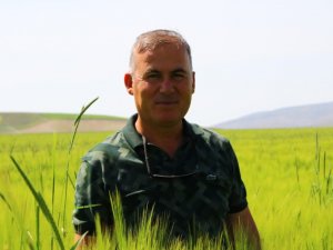 Polatlı’dan Dünyaya Yayılan Şifa: Kuru Soğan