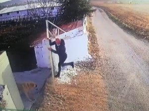 Öğretmene Köpek Saldırısı Güvenlik Kamerasında
