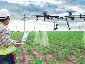 Fındık Bahçeleri Fi̇ha’lar İle İlaçlanacak