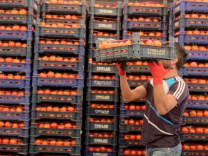 Antalya’da Isınan Hava Üretimi Arttırdı Fiyatlar Düşmeye Başladı