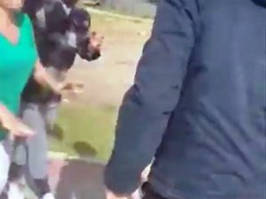 İ̇zmir’de Köpek Tartışması Şiddete Dönüştü