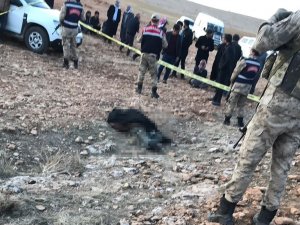 Şanlıurfa’da 1 Kişinin Öldüğü Arazi Kavgasında 4 Gözaltı