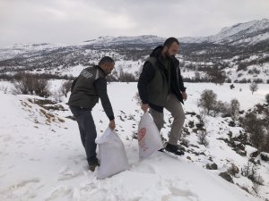 Tunceli’de Yemleme Ve Denetim Çalışmaları Sürüyor