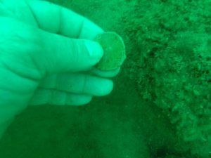 Kalenin Kalıntıları Denizin Altında Aranıyor