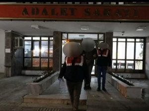 Tunceli’de Terör Örgütü Üyesi Yakalandı