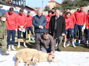 Zonguldak Kömürspor Kurban Kesti
