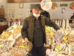 Kdv İndirimi Balık Tezgahlarına Da Yansıdı