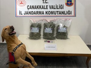 Çanakkale’de Uyuşturucu Operasyonu: 2 Gözaltı
