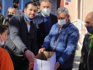 Yolda Bulduğu Yavru Baykuşu Elleriyle Besledi