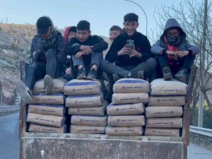 Çimento Yüklü Traktörde Tehlikeli Yolculuk