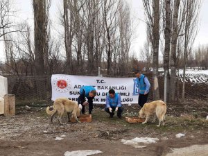 Doğada Yaşayan Hayvanlar Unutulmadı