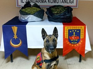 Batman’da Uyuşturucu Baskınında 11 Kilogram Kubar Esrar Ele Geçirildi