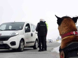 Muş’ta Otoyollar Hassas Burunlara Emanet