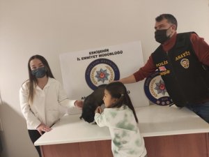 Çalınan Cins Köpek Bulunarak Sahibine Teslim Edildi