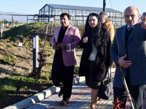 Dünyaca Ünlü Çevre Bilimciden Altınova Övgüsü