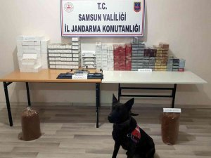 Samsun’da Bin 187 Paket Sigara Ve 16 Bin Dal Makaron Ele Geçirildi