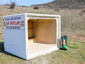 Can Dostları İçin Yeni Beslenme Noktaları Oluşturuluyor