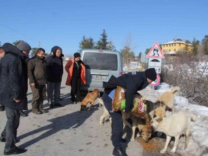 İ̇skilip’te Doğaya Yem Bırakıldı