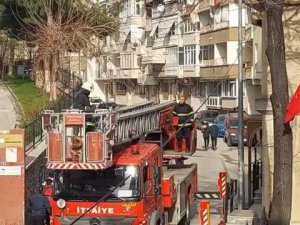 Bursa’da Ağaçta Asılı Kalan Kuşu İtfaiye Ekipleri Kurtardı