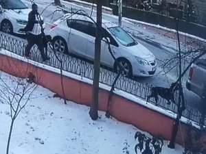 Ankara’da Bir Hayvansever Çalınan 2 Köpeğini 18 Gündür Sokak Sokak Arıyor