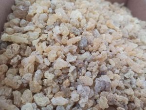 Mezda Sakızının Kilosu 750 Liradan Satılıyor