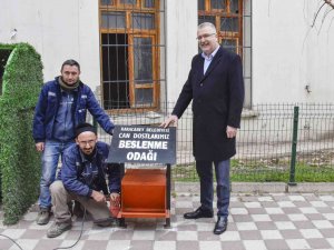 Karacabey’de Sokak Hayvanları Sahipsiz Değil