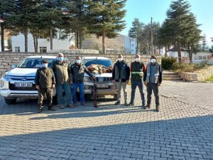 Tunceli’de İki Yaban Keçisi Avlayan Şahıslara 125 Bin Lira Ceza Kesildi