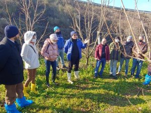 Altınova’da Çiftçilere Budama Eğitimi