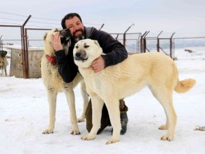 Kangallar Saldırmaz Korur