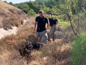 15 Yıllık Korkunç Cinayeti Sigara İzmariti Çözmüştü